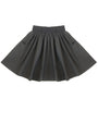 Black pleated skirt on a white background