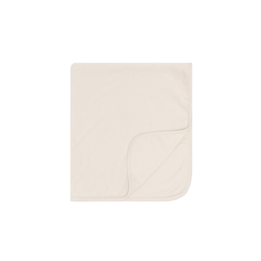 Elegant Reversible Velour Baby Blanket