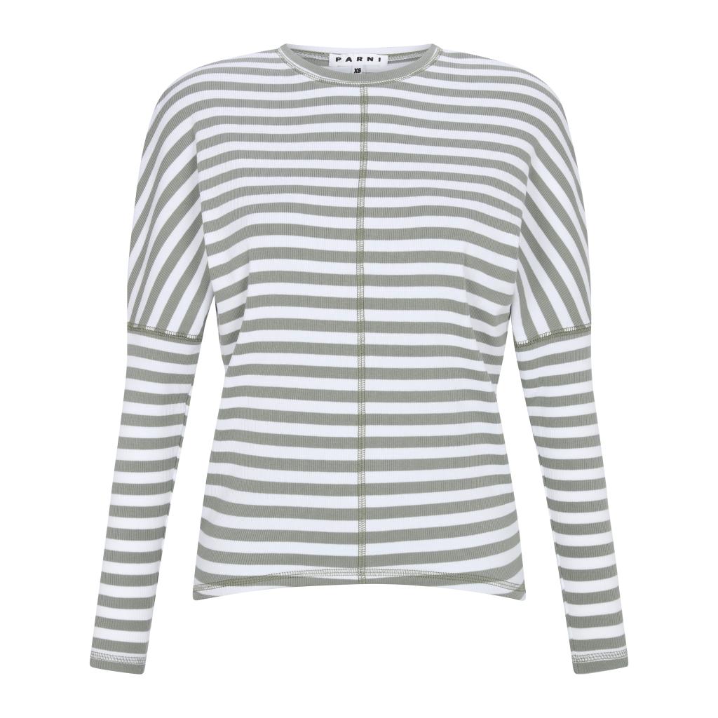 Striped Dolman Tee